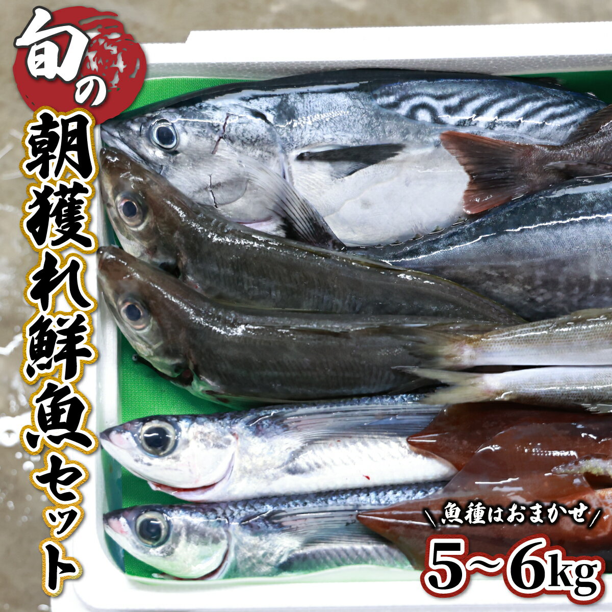 【ふるさと納税】【先行予約受付中】宮崎県串間産 朝獲れ鮮魚セット計約5〜6kg(6〜7種) 定置網による厳選「朝獲れ鮮魚」を漁師直送！ 海の幸【豊漁丸】【KU072】