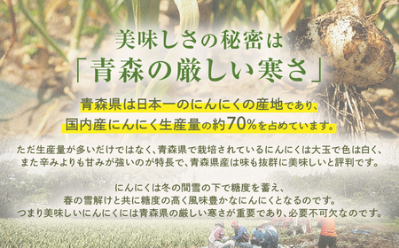 青森県産にんにく 使用！ 七味にんにく 75g×１本