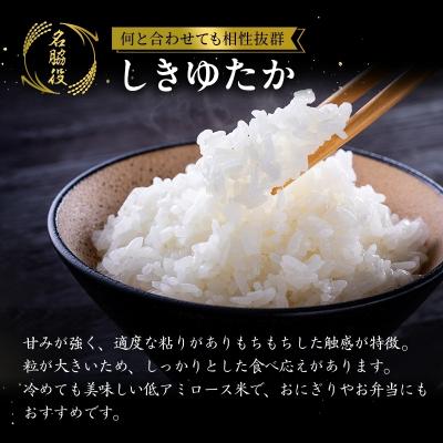 ふるさと納税 加西市 【令和8年産 先行受付】しきゆたか 白米 20kg《2027年1月発送》[No5698-2555] |  | 02