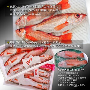 ノドグロ 6尾セット 1尾 約200g以上 新潟 日本海産 高級魚 アカムツ 新鮮 真空 急速冷凍 冷凍 魚介類  新発田 魚介 年末 【竹】uomizushima004