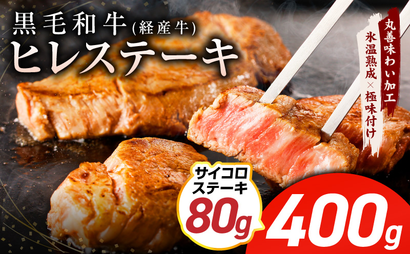 【特別規格】黒毛和牛 ヒレステーキ ＋ サイコロステーキ 合計 480g【氷温熟成×極味付け 牛肉 和牛 経産牛 訳あり サイズ不揃い 規格外 数量限定 大阪 泉佐野 大阪府 泉佐野市】