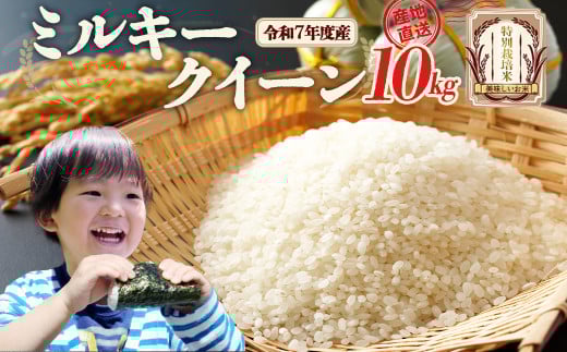 【先行予約】令和7年産雪蔵銀ぴか米 ミルキークイーン(特別栽培米) 10kg（令和7年10月14日以降発送）　【07208-0679】