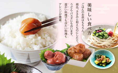 無選別 和歌山の完熟南高梅 味が染み込んだ梅干し はちみつ味 500g 塩分10％ [定期便 毎月発送・全3回]