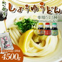 【ふるさと納税】《レビューキャンペーン》さぬき醤油うどん (4500g) 専用だし3種付 セット さぬきうどん 讃岐 うどん ぶっかけ 釜揚げ 釜玉 だし だし醤油 麺 名物 ご当地 グルメ 食品 四国 F5J-331