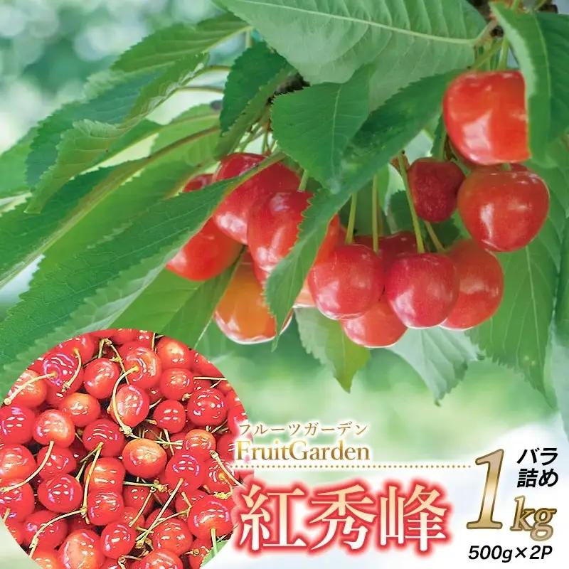 さくらんぼ 紅秀峰 バラ詰め L～2Lサイズ 1kg(500g×2) 山形県鶴岡市産 令和9年産 フルーツガーデン