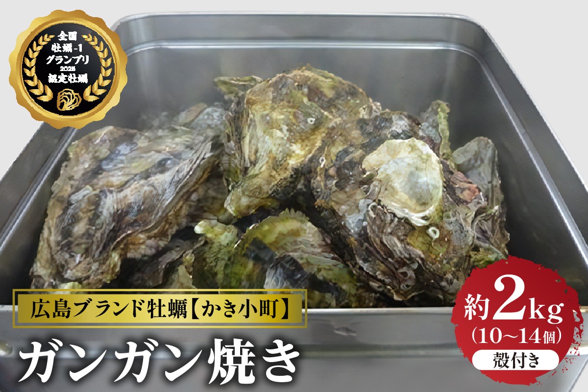 
            【先行受付】【2025年12月より発送】丸十水産 広島ブランド牡蠣 かき小町 ガンガン焼き 約2kg (10～14個) ku003-006-25
          