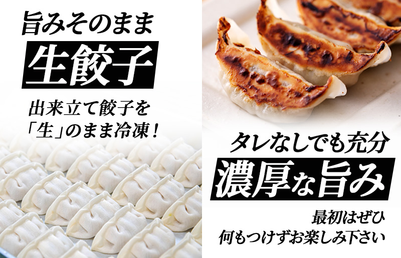 泉州キャベツ餃子80粒【射手矢農園×李朝園 生餃子 自家製 手作り ぎょうざ ギョーザ 惣菜 冷凍 焼くだけ 簡単調理】 005A730