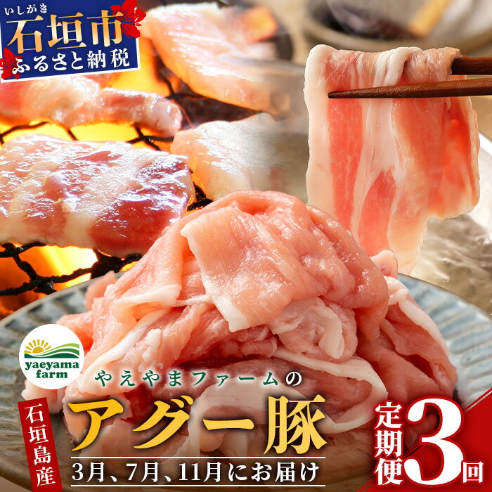 【ふるさと納税】 【定期便】 豚肉 セット 石垣島産 やえやまファームのアグー豚 南ぬ豚 食べ比べ 3回 計2.7kg 切り落とし 1.5kg 焼肉 600g しゃぶしゃぶ 600g ふるさと納税 豚肉 国産 ブランド豚 冷凍 やえやまファーム 沖縄県 石垣市 人気 送料無料 E-30-1