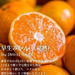 【発送月固定定期便】「時期、種類による味の違いを楽しむ」愛媛みかん食べ比べ【H70-80】全3回【4067801】