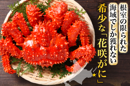 【北海道根室産】花咲がに600g×2尾[8月上旬以降発送] B-20001