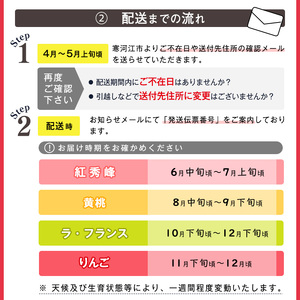《先行予約》令和8年産 4回定期便「フルーツ 定期便 紅（べに）」さくらんぼ（紅秀峰）・ 黄桃・洋梨（ラ・フランス）・りんご（サンふじ）山形県産 【2026年6月中旬頃から発送開始予定】※配送不可 沖