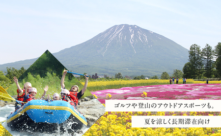 北海道 倶知安町 宿泊 利用 クーポン 【50万円分】 チケット 旅行 ホテル パークハイアット ニセコ HANAZONO Panorama Niseko AYA Villas 他 リゾート コンドミ