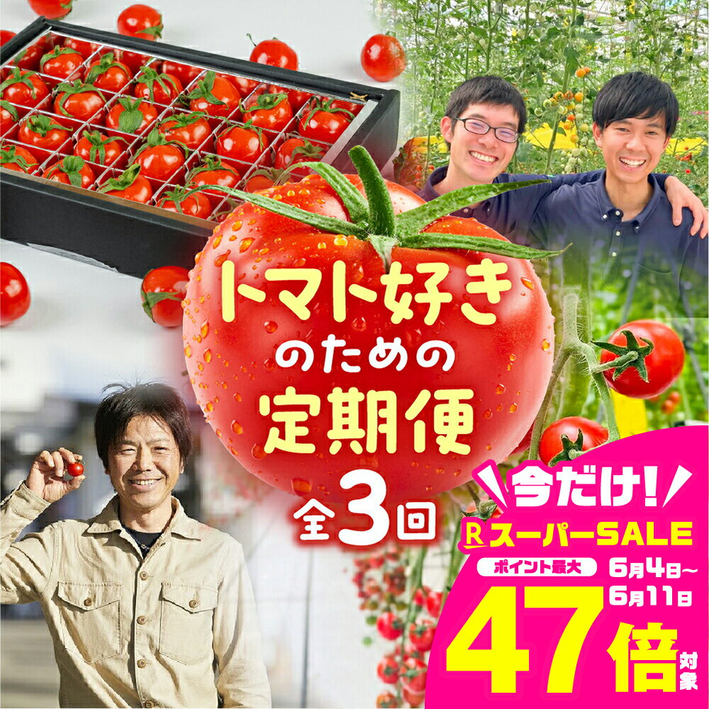 【ふるさと納税】トマト大好き定期便 3回お届け トマト ミニトマト フルーツトマト 食べ比べ 高糖度 プチぷよ ファーストトマト とまと 旬 先行予約 期間限定 お楽しみ トマト定期便 定期 3回 3ヵ月 希少品種 人気 楽天限定 ふるさと納税 愛知県 豊橋市 送料無料