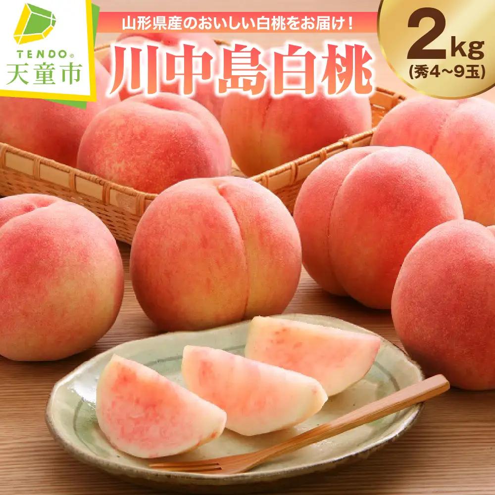 もも 川中島白桃 2kg 秀 桃 山形 フルーツ