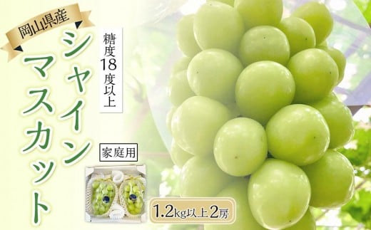 ぶどう 2026年  糖度18度以上 岡山県産 シャインマスカット  600g以上 2房 1.2kg以上 訳あり　家庭用＜9月以降発送＞ | フルーツ 果物 くだもの シャインマスカット マスカット 