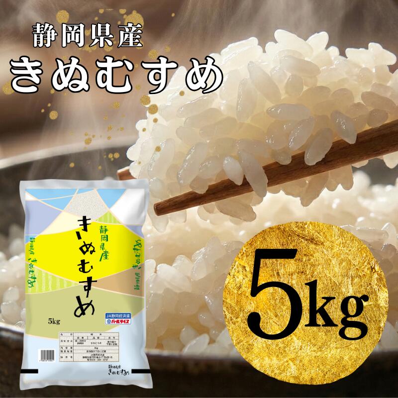 【ふるさと納税】米 静岡きぬむすめ 5kg お米 白米 コメ 精米 きぬむすめ 静岡県産 袋井市 静岡県　お届け：2025年12月1日～2026年9月15日まで