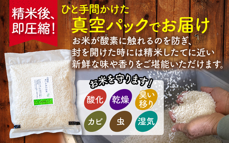 【先行予約 令和7年産】あいかみのお米 1kg（1kg × 1パック） 石川県産 特別栽培米 【コシヒカリ・つきあかり・ミルキークイーンのいずれかお届け】/ 新米 令和7年産