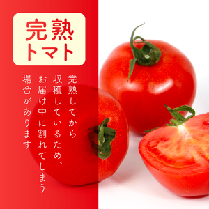 フルティカ 約2.2kg 大瀧農園 トマト 完熟トマト 野菜 産地 直送 人気 国産 愛媛県 愛南町 発送期間：2026年3月1日～7月頃まで（※なくなり次第終了）