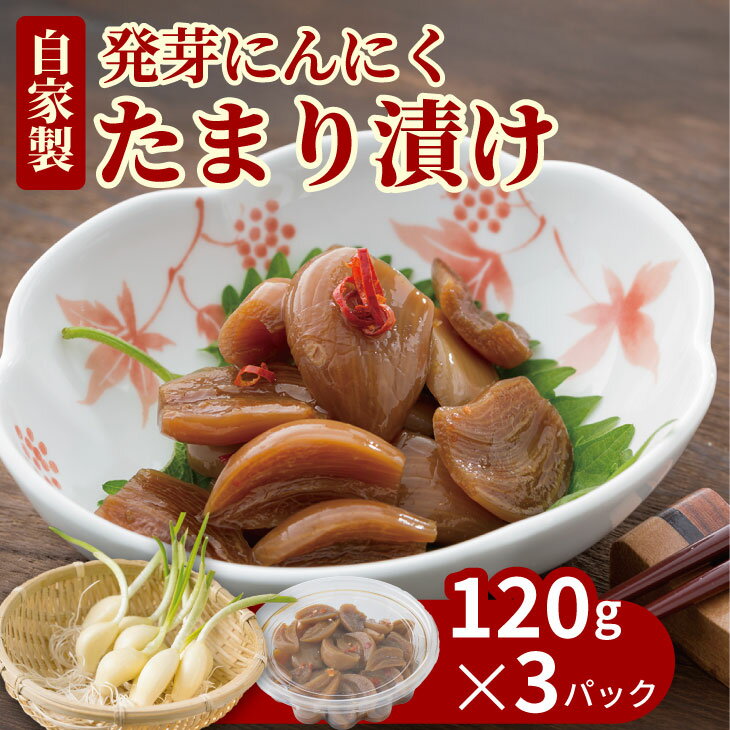 【ふるさと納税】 発芽 ニンニク たまり漬け（3パック） 臭い少なめ 健康志向 にんにく 【A070-037】