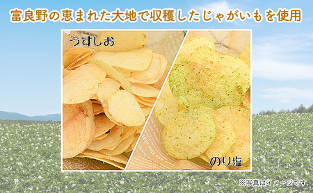 【2ヵ月に1回お届け】JAふらのポテトチップス【ふらのっち】2種類(各12袋)×4回 ふらの農業協同組合(南富良野町) 芋 菓子 スナック じゃがいも お菓子 ポテチ 定期便 詰合せ コンソメ うすし