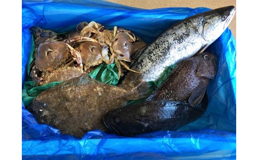 発送例：4月　ママス、ソイ、ミズガレイ、平ガニ　（魚の紹介やオススメの調理方法も同封します♪）
