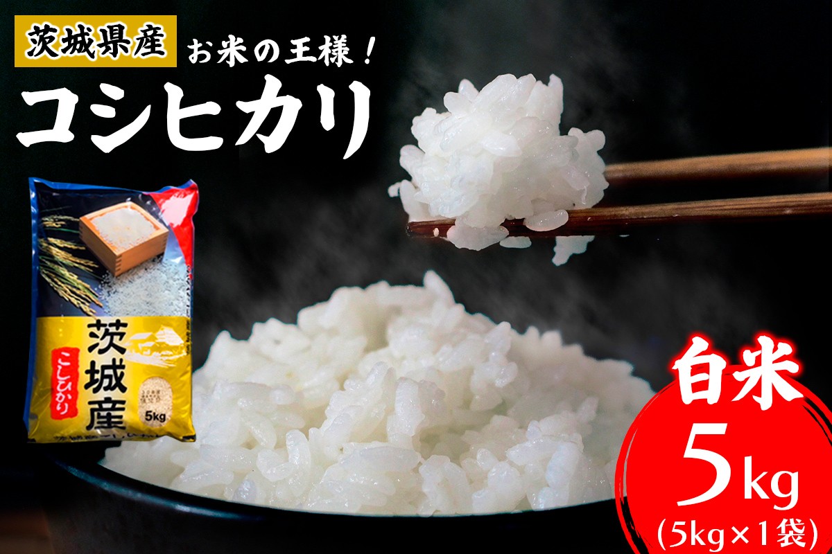 
                  【令和7年産】お米の王様！茨城県産 コシヒカリ 白米 5kg×1袋｜おこめ 精米 こしひかり 直送 稲敷 茨城 [2256]
                