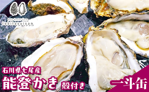 飛田水産　石川県七尾産　能登かき　殻付き一斗缶｜牡蠣　専用ナイフ 牡蠣 かき カキ 能登の里山里海 石川県七尾市 能登半島 ※要加熱 ※2027年1月～発送