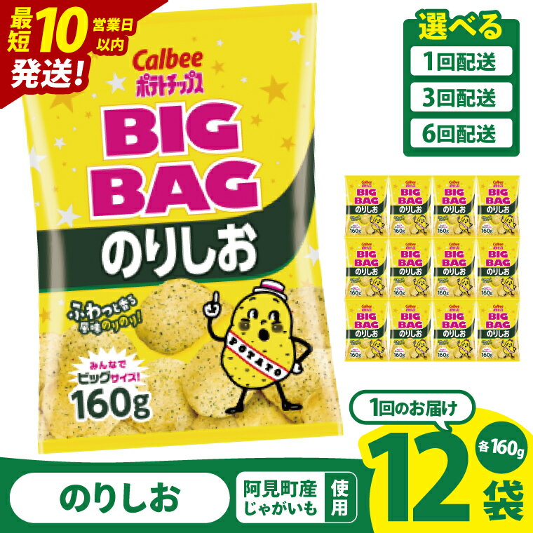 【ふるさと納税】【10営業日以内に出荷】【選べる定期便回数】カルビー ポテトチップス のりしお BIGBAG(160g)×12個|Calbee お菓子 菓子 おやつ おかし ぽてち ポテチ スナック おつまみ ジャガイモ じゃがいも(93-61)