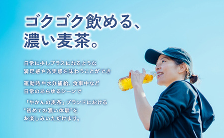 【2回定期便】やかんの濃麦茶 from 爽健美茶 600ml PET×24本（１ケース）合計48本 麦茶【コカコーラ】 日本茶 お茶 麦茶 むぎ茶 ペットボトル 麦茶 コカコーラ カフェインゼロ ノン