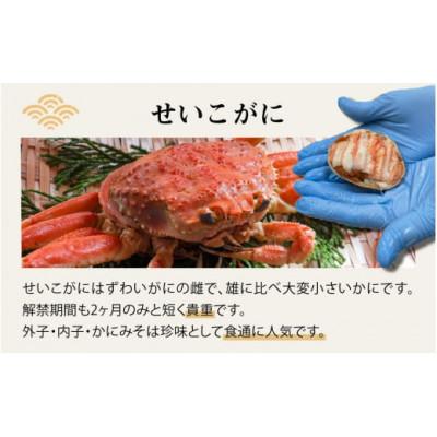 ふるさと納税 福井市 【訳あり】プチプチ食感の外子と濃厚な内子 せいこがに 甲羅盛 70〜80g×4個(中大サイズ) |  | 01