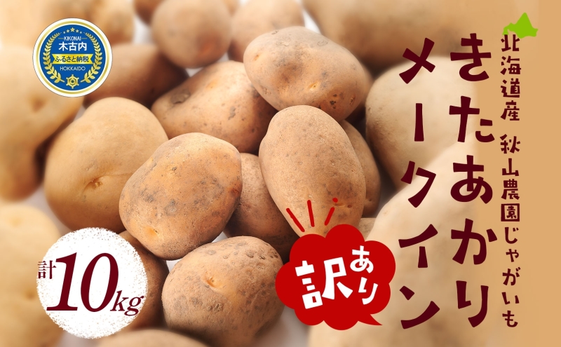 北海道産 じゃがいも 訳あり 10kg きたあかり メークイン 北海道 訳アリ 小玉 ポテト 芋 イモ キタアカリ 国産 馬鈴薯 旬 野菜 農作物 産地直送 根菜 お取り寄せ グルメ 秋山農園