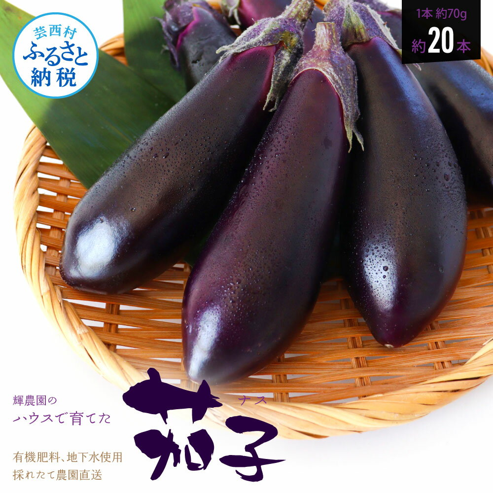【ふるさと納税】【先行予約】茄子（1本約70g）約20本入り 高知県産 芸西村 ナス なす 野菜 新鮮 お取り寄せ 美味しい 煮浸し 味噌汁 麻婆茄子 夏野菜 秋野菜 料理 ふるさとのうぜい 故郷納税 7000円 返礼品 高知県 高知