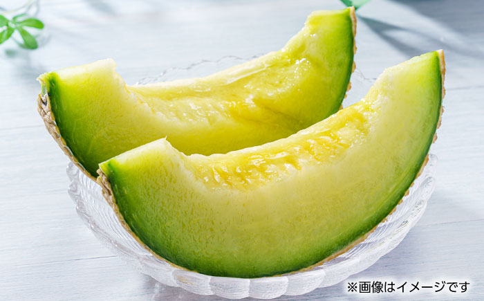 【先行予約】アールスメロン　1玉　約1.3kg以上【くまふる】 [ZBG083]