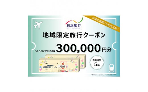 【加賀市】石川県加賀市 日本旅行 地域限定旅行クーポン300,000円分 チケット 旅行 宿泊券 ホテル 観光 旅行 旅行券 交通費 体験 宿泊 夏休み 冬休み 家族旅行 ひとり カップル 夫婦 親子 トラベルクーポン 加賀旅行 F6P-1023