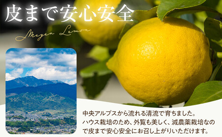 （先行予約）【南信州レモン】ハウス栽培減農薬「マイヤーレモン」（1.2kg）と無添加「マイヤーレモン ママレード」（150g×1個）