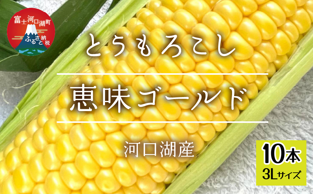 ＜2025年7月下旬以降発送予約＞河口湖産　とうもろこし　恵味ゴールド　1箱（3Lサイズ10本入り） FEH003