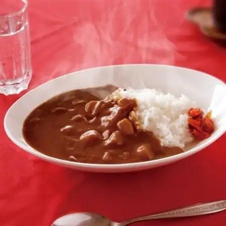 天理カレー　辛口　10個セット_惣菜・加工品 レトルト    惣菜・加工品 カレー  _【1070778】