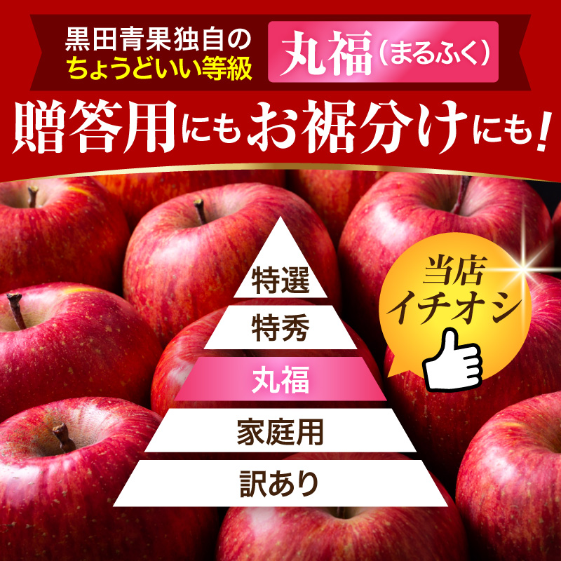 【2026年12月後半発送】 りんご 青森産 約5kg 丸福 サンふじ 光センサー 選果 糖度 13度以上