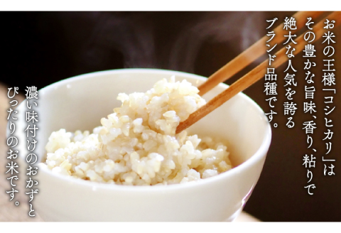 【定期便3ヶ月】令和5年産 石見地方 美郷町産 コシヒカリ 玄米 10kg【令和5年度産 定期便 3回定期 米 玄米 ブランド米 こしひかり 10kg×3回 合計30kg 2023年産】