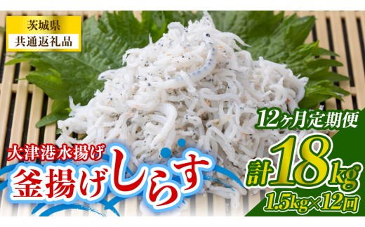 【12回 定期便】大津港水揚げの釜揚げしらす 1.5kg(250g×2パック×3箱) (茨城県共通返礼品:北茨城市) 冷凍 小分け パック 少量 釜揚げ ごはん ご飯 丼 海鮮 魚 名物 グルメ 茨城県 魚介類 ちりめん シラス しらす じゃこ サラダ ふるさと納税 人気 料理（BC028）