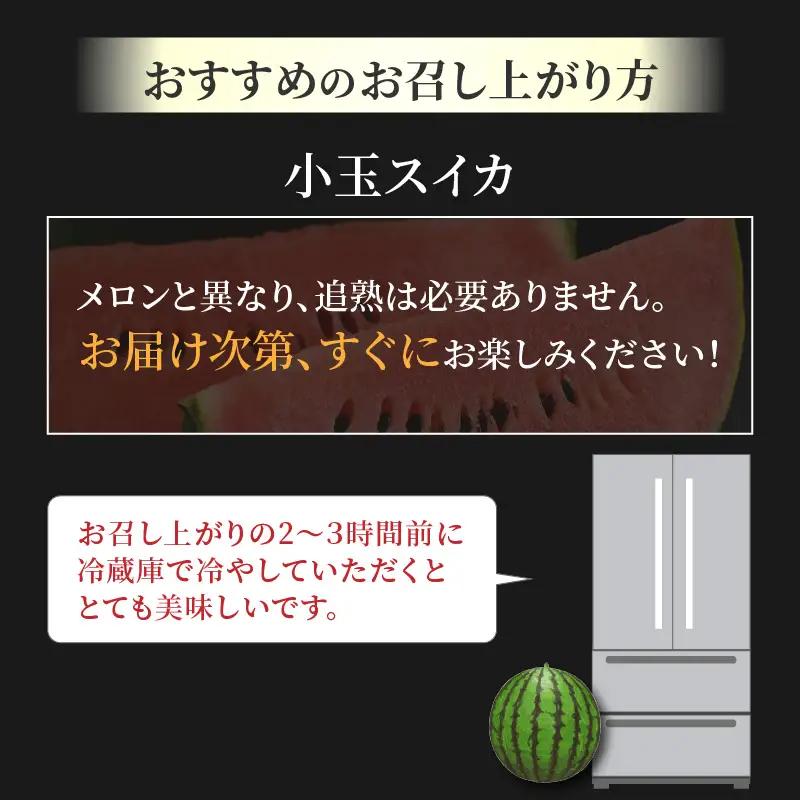 【先行予約】抜群の甘さ！佐藤農園の小玉スイカ 食べ比べセット(ひとりじめ+ひとりじめナノまたはピノガール) 2玉（計3kg以上）／ 秀品 農家直送 有機肥料 低農薬 ※2027年5月下旬～6月末の間に