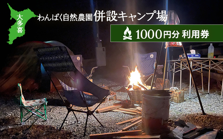 大多喜わんぱく自然農園併設キャンプ場1000円分利用券 W004505