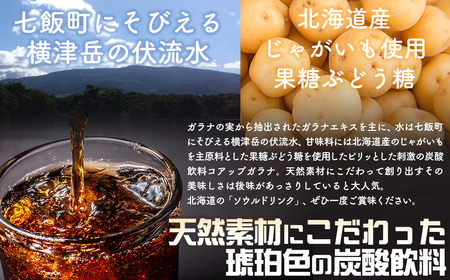 コアップガラナ24本セット（500mlペットボトル） 【 ふるさと納税 人気 おすすめ ランキング コアップガラナ ガラナ 道産子ソウルドリンク 北海道代表 ご当地 北海道 七飯町 送料無料 】 NA