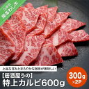 【ふるさと納税】【居酒屋うの】特上カルビ600g（300g×2P）