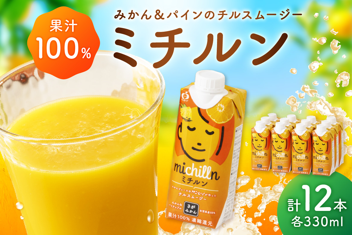 【佐賀県産温州みかん使用】 果汁 ミックスジュース　ミチルン　330ml×12本 A043