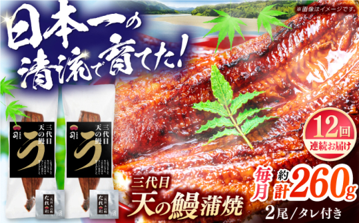 【12回定期便】土佐料理司 三代目天の鰻蒲焼2尾セット 高知市 春野町産 【株式会社土佐料理司】 [ATAD062]　うなぎ 鰻 ウナギ  国産 うなぎ蒲焼 高知 うな重 うな丼 ひつまぶし 鰻蒲焼き