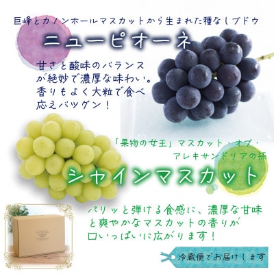 岡山　花笑み農園の『ニューピオーネ＆シャインマスカット』2kg優品　PS-2優【9月中旬～順次発送】【配送不可地域：離島】