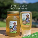 【ふるさと納税】合計900g 天然蜂蜜 国産蜂蜜 非加熱 生はちみつ 岐阜県 美濃市産 初夏 (蜂蜜600g入りガラス瓶1本、蜂蜜300g入りピタッとボトル1本のセット)B15　 ハニー 調理 料理 味付け 甘味 百花蜜 深い味わい 自然の味 無添加