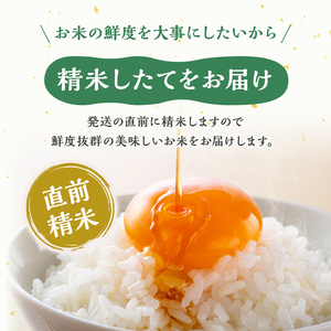 【定期便：雪国逸品 精米5kg×12ヶ月】越後魚沼郷 魚沼産コシヒカリ お米 人 自然調和 ミネラル 奇跡 自然環境 努カ 香り つや 粘り 極上 