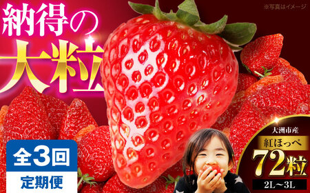 いちご 定期便【全3回】いちご 3箱[AGAR019]